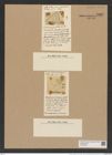 Triceratium caribaeum W. et Ch. (de-Toni-Nr.: Genus 140, Species 3828) Zeichnungen Sammlung Grunow Nr. 7327 (NHMW-BOT-W0376369)